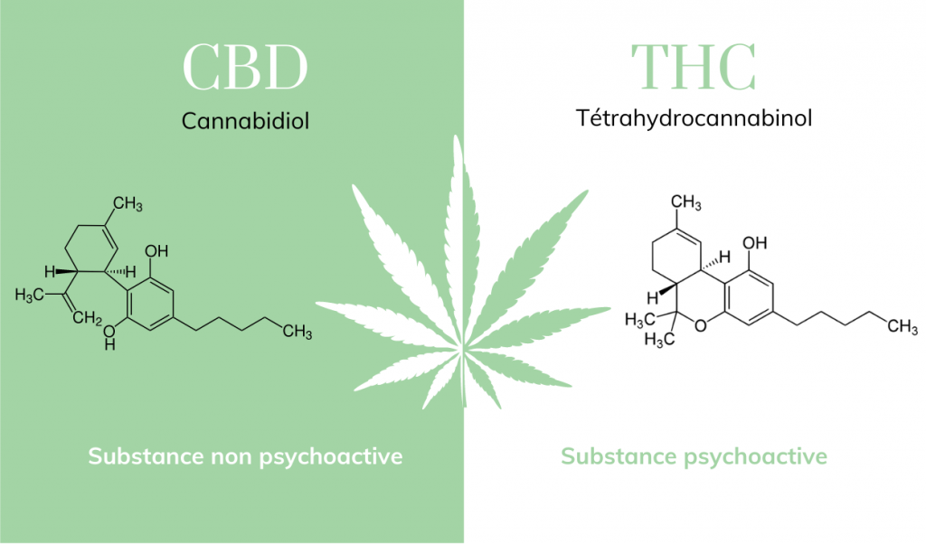 molecules-thc-et-cbd-3