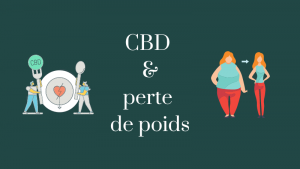 cbd-perte-de-poids