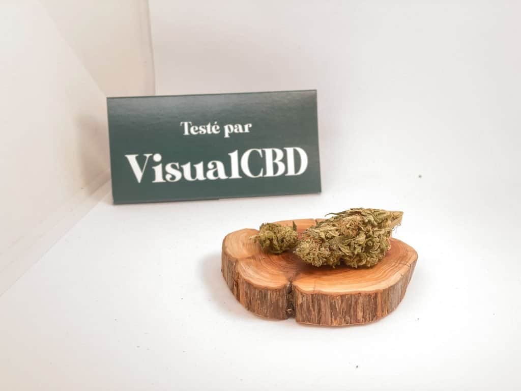 19042021 IMG 2812Kiwikush