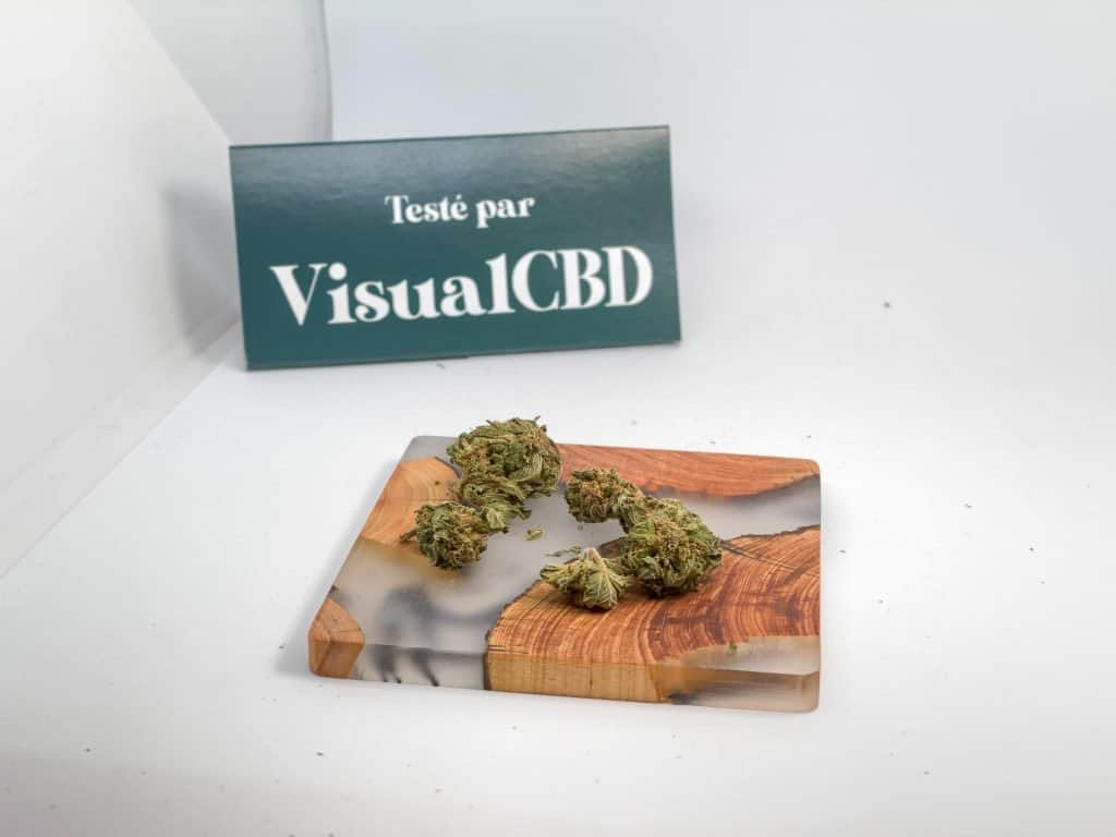 19042021 IMG 2826Chemdawg