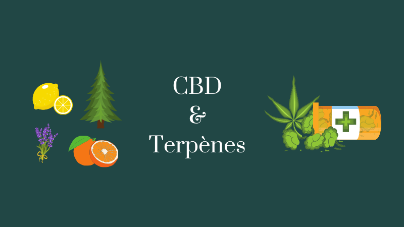 Terpenes-cbd