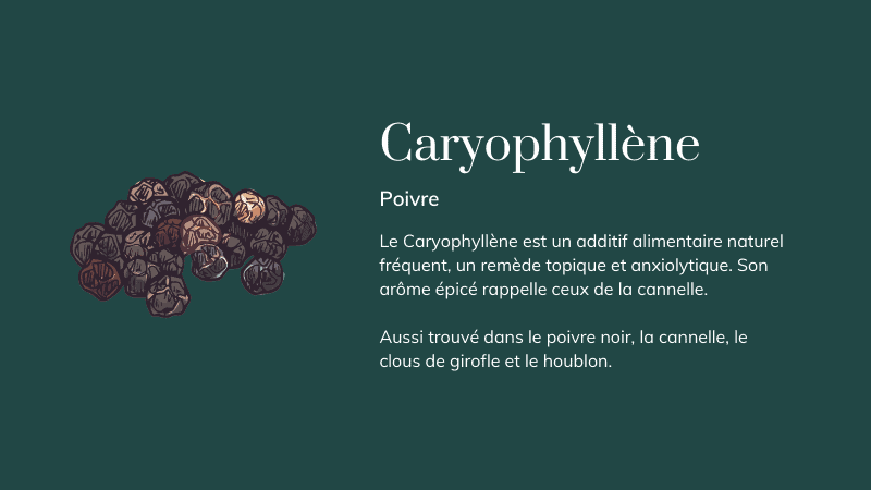 caryophyllene