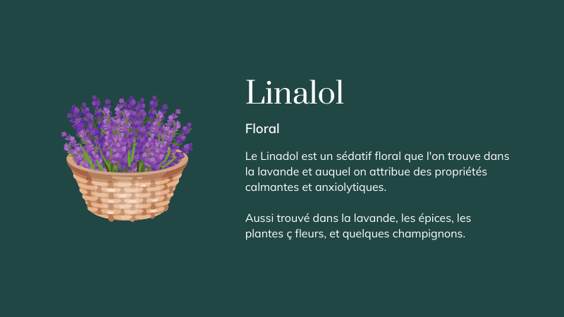 linadol