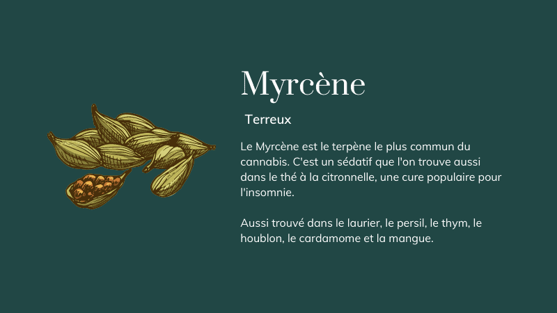 myrcene