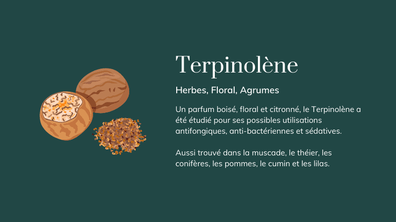 terpinolene