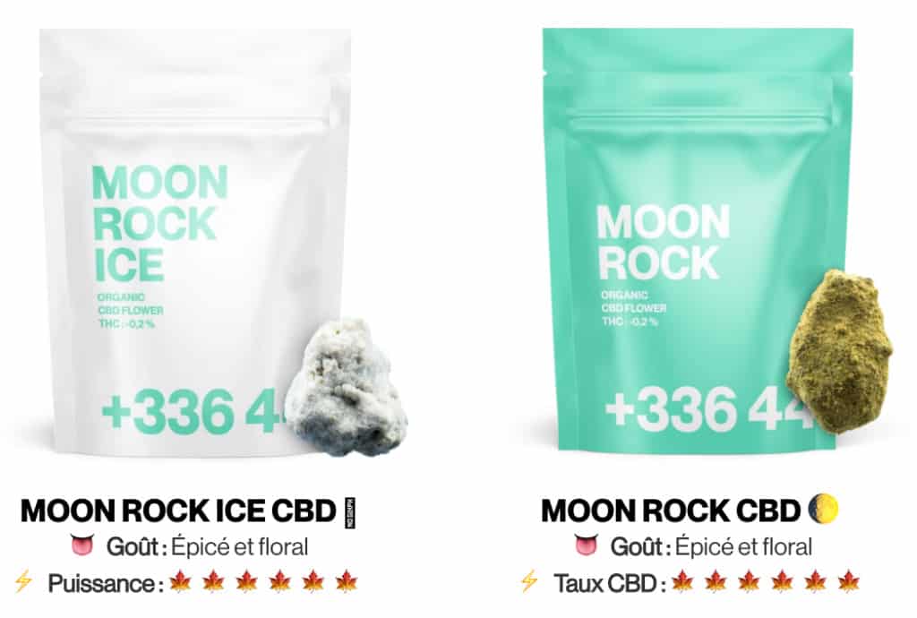Moonrock Tealer