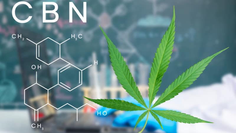 cbn