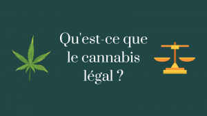 cannabis-sans-thc