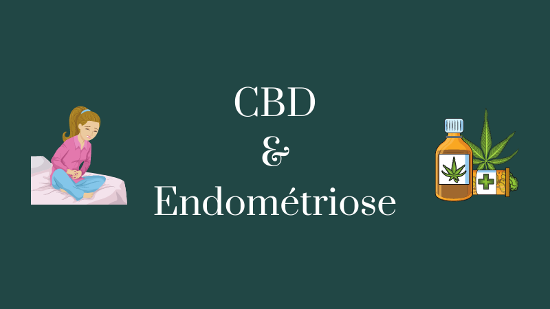 cbd et endometriose