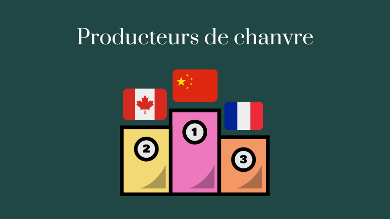 producteurs de chanvre