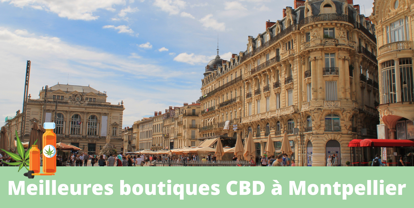 Meilleures boutiques CBD montpellier